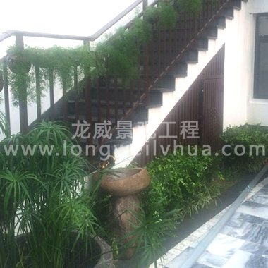苏州垂直绿化秋冬植树应注意细节