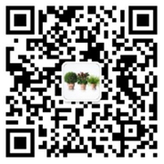 15115011346715330.jpg